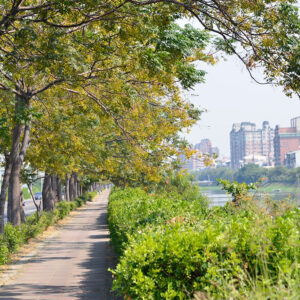 MSTW 02 朝皇宮 → 保安宮岔