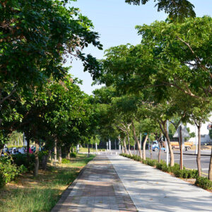 MSTW 05 新港社地方文化館 → 陽光電城公園