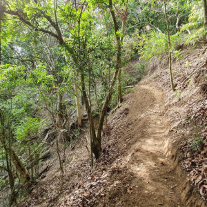 MSTW 11 烏山嶺水利古道