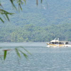 MSTW 14 曾文水庫觀景樓碼頭 → 大埔情人公園碼頭