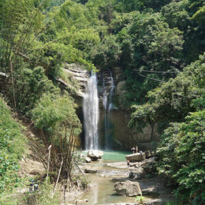 MSTW 15 大埔情人公園碼頭 → 茶山部落