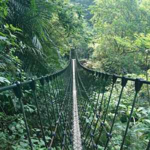 MSTW 19 里美避難步道