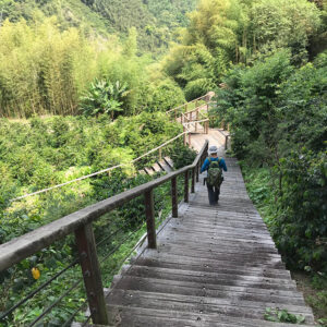 MSTW 24 特富野步道