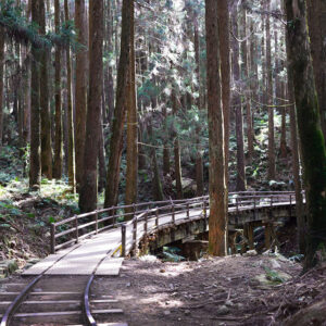 MSTW 26 特富野古道