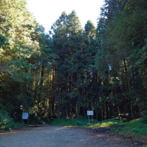 MSTW 27 特富野古道口 → 石山服務站