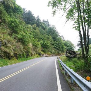 MSTW 28 石山服務站 → 鹿林小徑