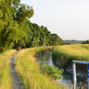 MSTW17-0大圳之路